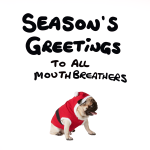 6 x Seasons Greetings