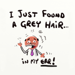 6 x Grey Hair