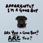 6 x Are You A Good Boy?