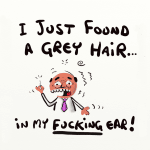 6 x Grey Hair